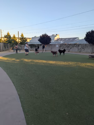 Dog Park at Larry J. Marsalli Park
